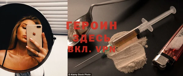 стаф Алзамай