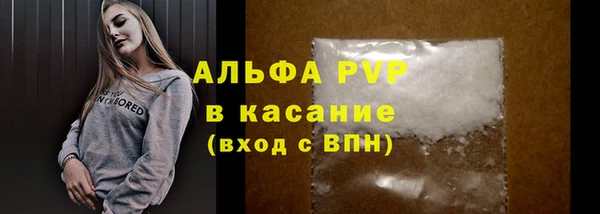 стаф Алексин