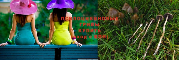 стаф Алексин