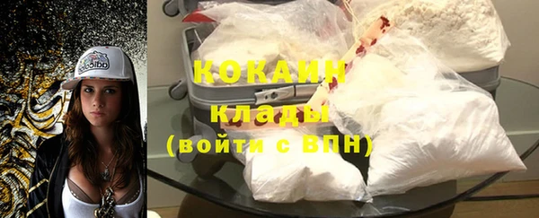 стаф Алзамай