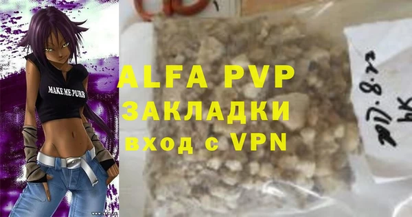 стаф Алзамай