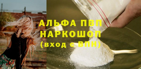 стаф Алексин