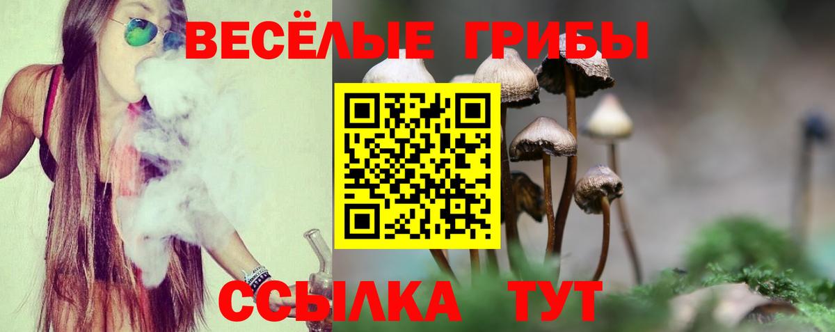 Галлюциногенные грибы ЛСД Саянск