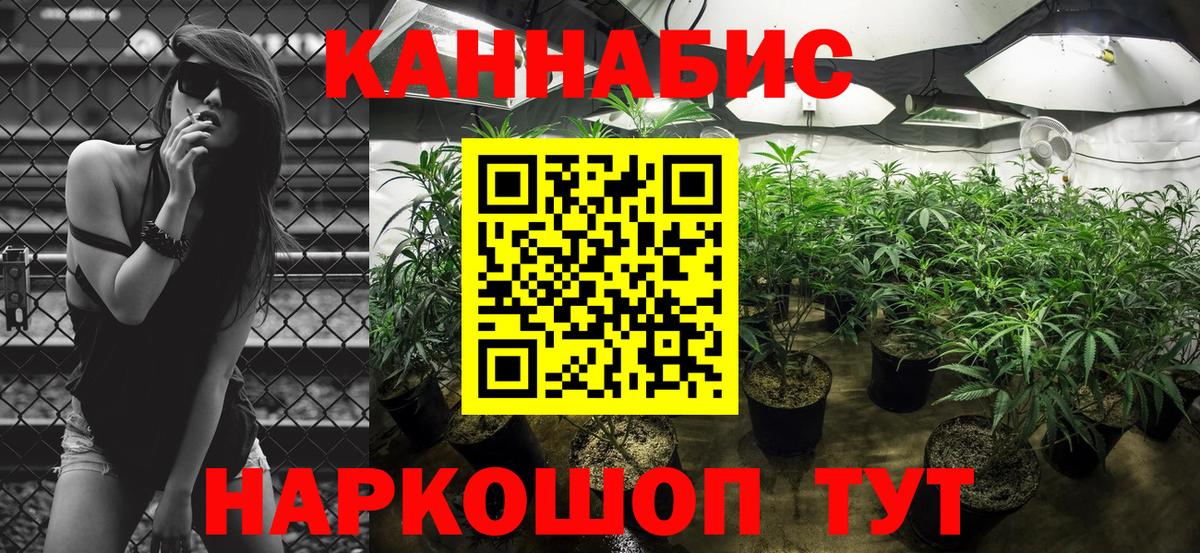 Бошки Шишки планчик  Вход с VPN  Каннабис конопля  Саянск 